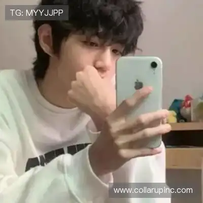 支宏聪